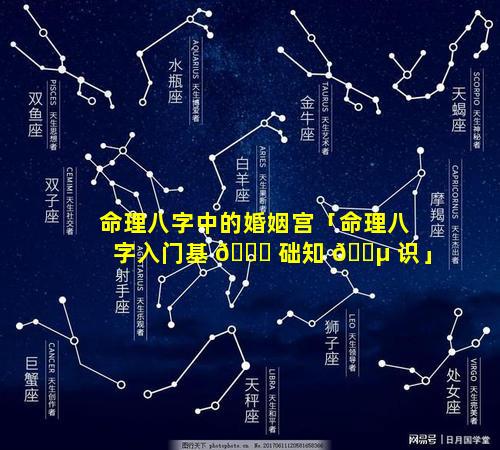 命理八字中的婚姻宫「命理八字入门基 🐟 础知 🌵 识」